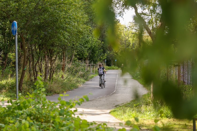 Na Promenadzie Krzyckiej we wrześniu 2025