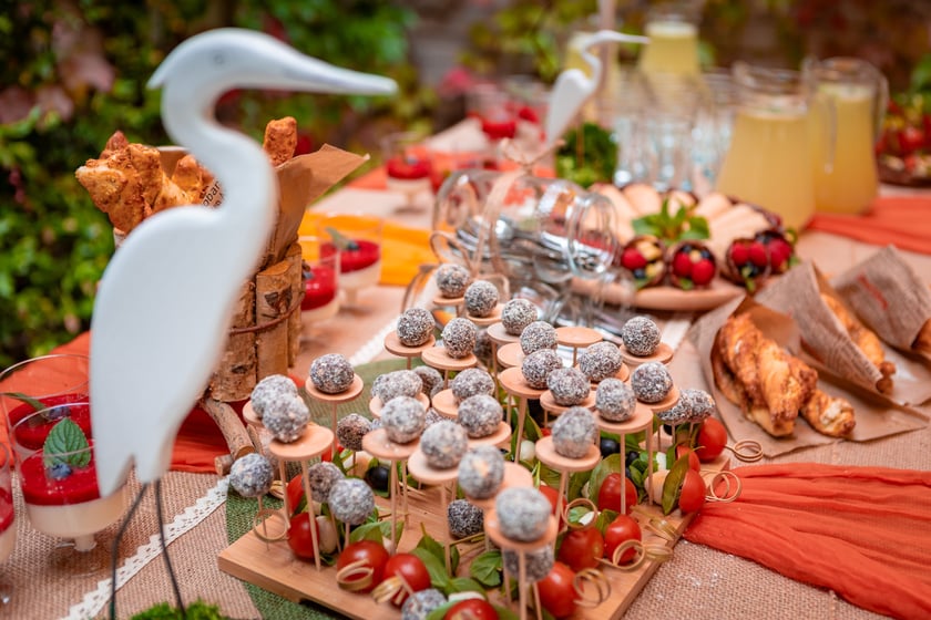 Dieta wegetariańska w kolejnych wrocławskich placówkach - konferencja prasowa 30.09.2025