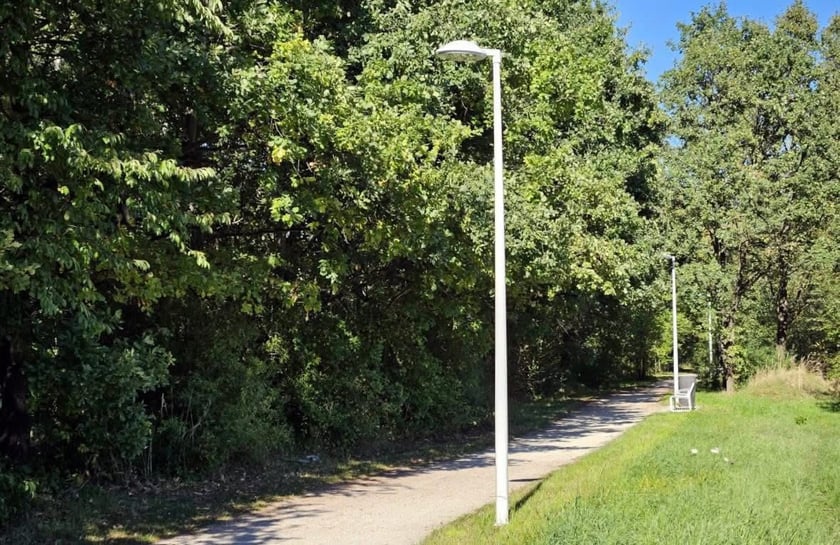 Latarnie w paku Maślickim