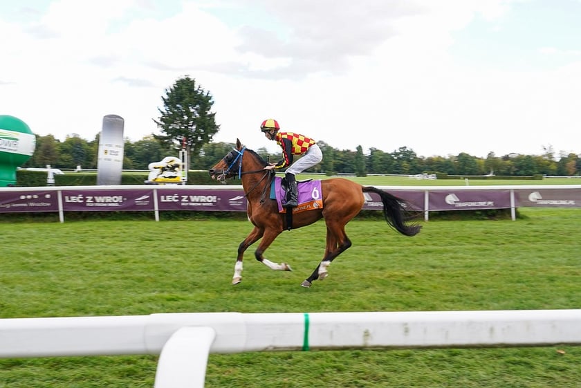 Student’s Day na Partynicach