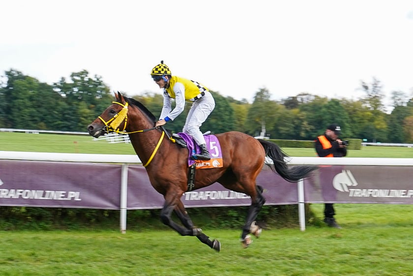 Student’s Day na Partynicach