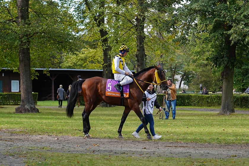 Student’s Day na Partynicach