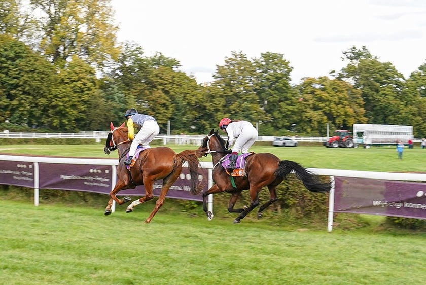 Student’s Day na Partynicach