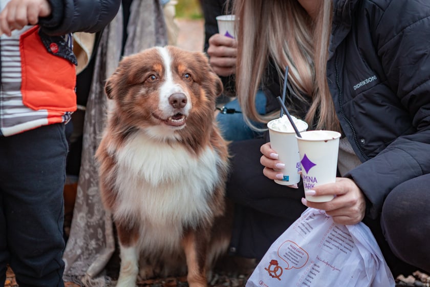 Lumina Park w Zamku Topacz - 15.10.2025