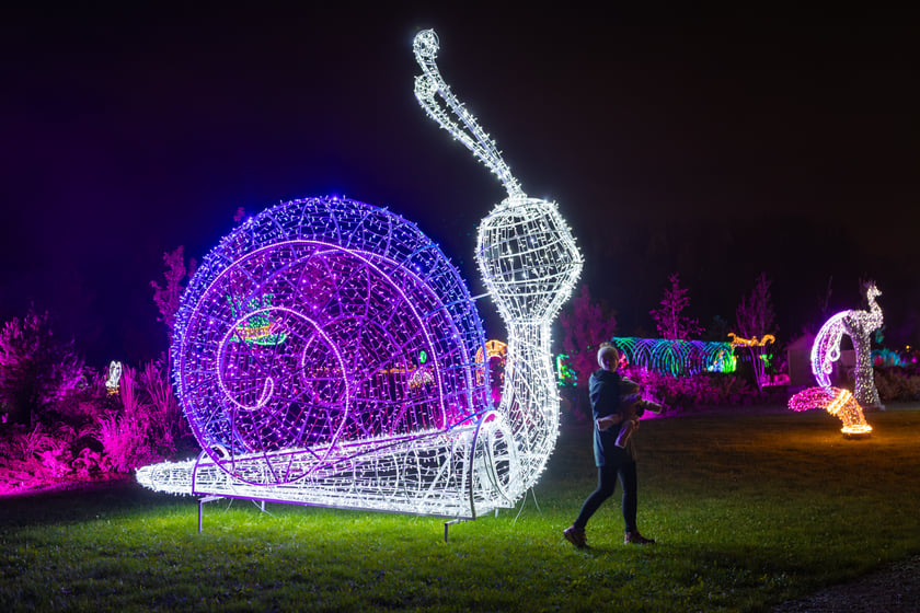 Lumina Park w Zamku Topacz - 15.10.2025