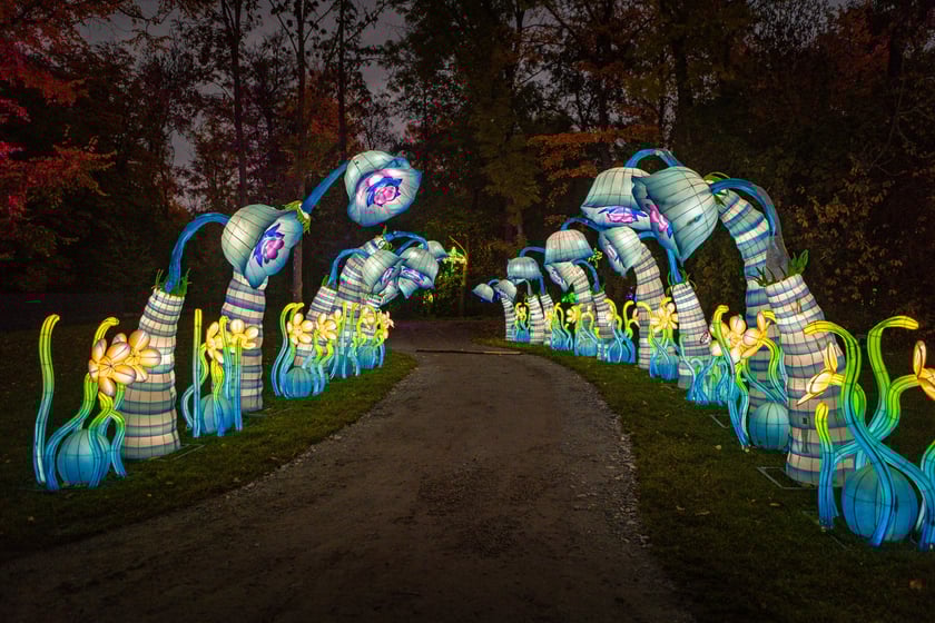 Lumina Park w Zamku Topacz - 15.10.2025