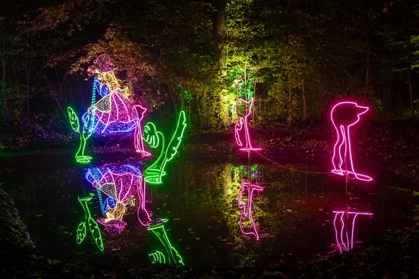 Lumina Park w Zamku Topacz - 15.10.2025