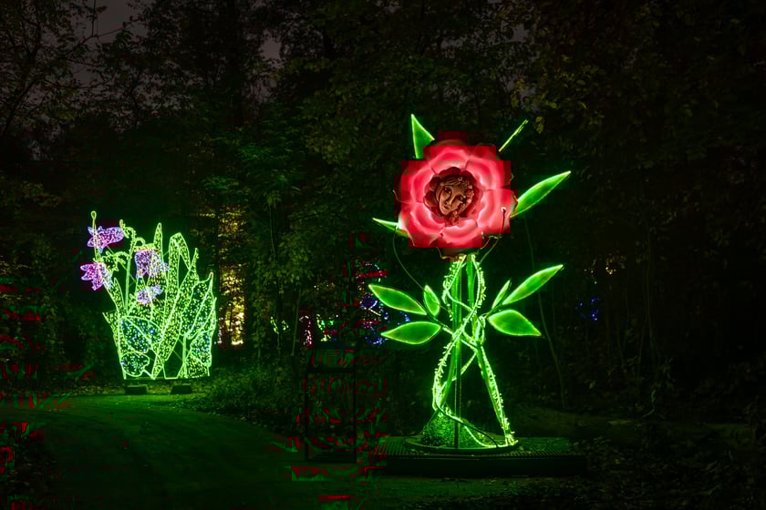 Lumina Park w Zamku Topacz - 15.10.2025