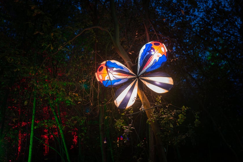 Lumina Park w Zamku Topacz - 15.10.2025