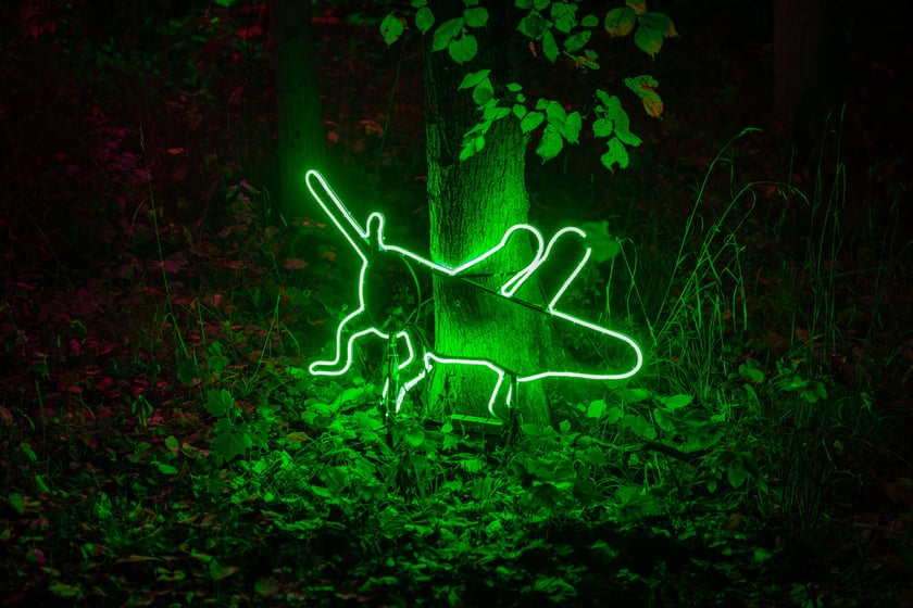 Lumina Park w Zamku Topacz - 15.10.2025