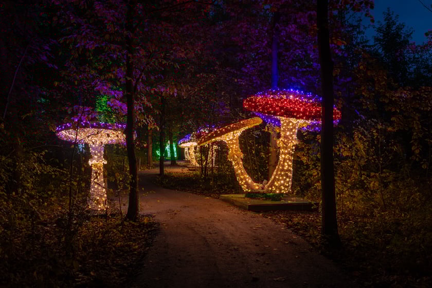 Lumina Park w Zamku Topacz - 15.10.2025