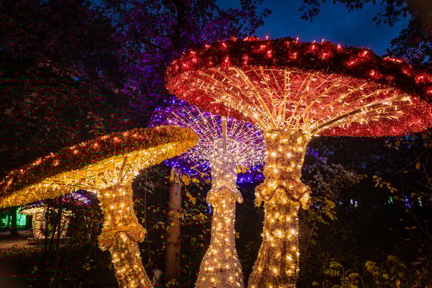 Lumina Park w Zamku Topacz - 15.10.2025