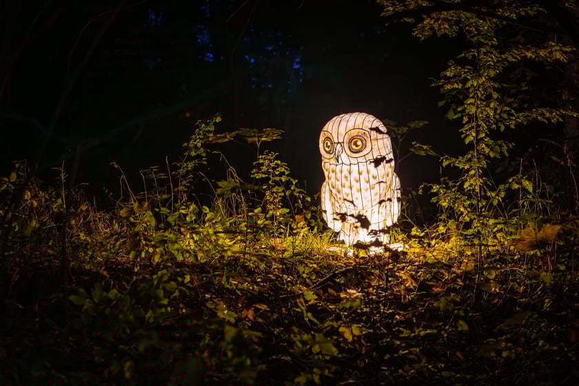 Lumina Park w Zamku Topacz - 15.10.2025