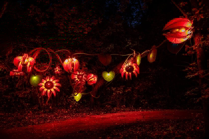 Lumina Park w Zamku Topacz - 15.10.2025