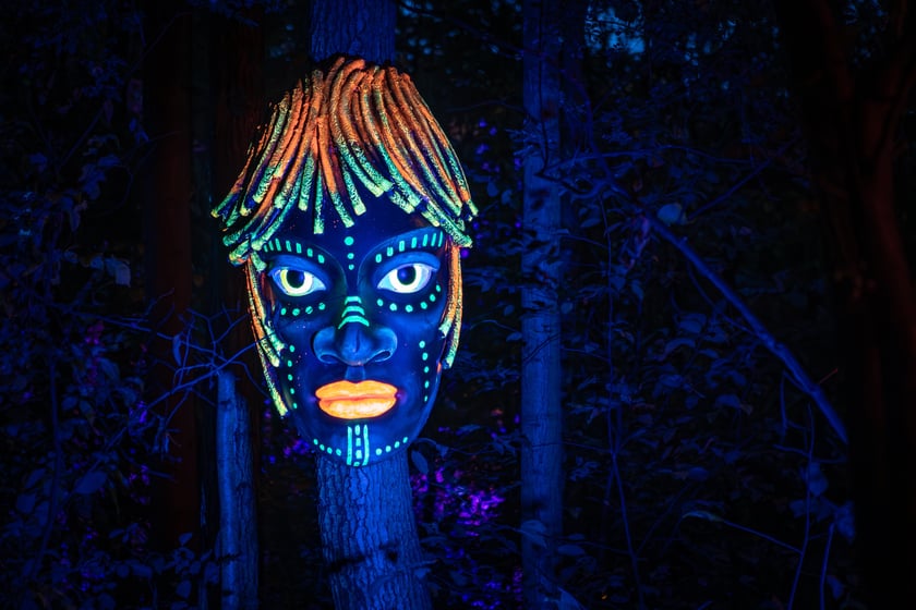 Lumina Park w Zamku Topacz - 15.10.2025