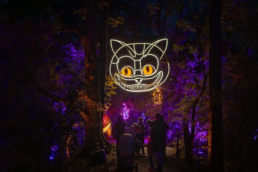 Lumina Park w Zamku Topacz - 15.10.2025