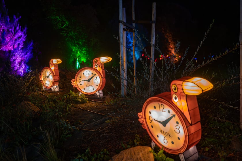 Lumina Park w Zamku Topacz - 15.10.2025