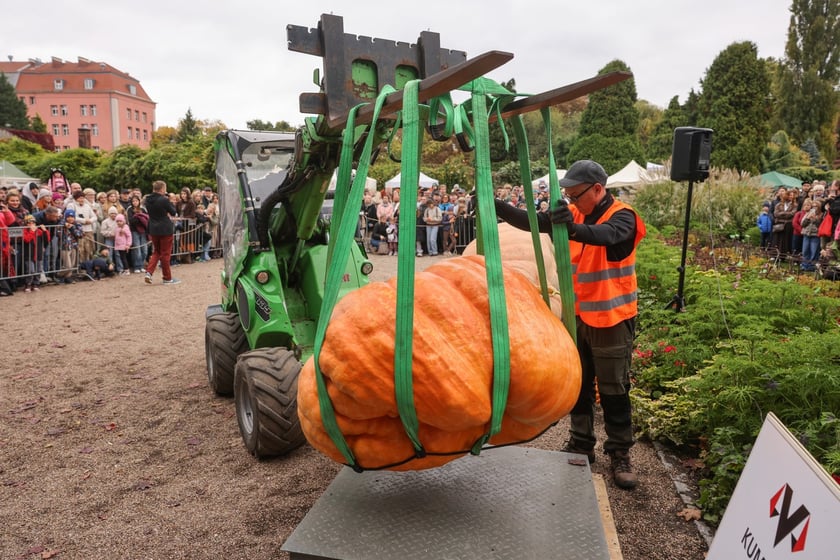 Festiwal Dyni w Ogrodzie Botanicznym 2025