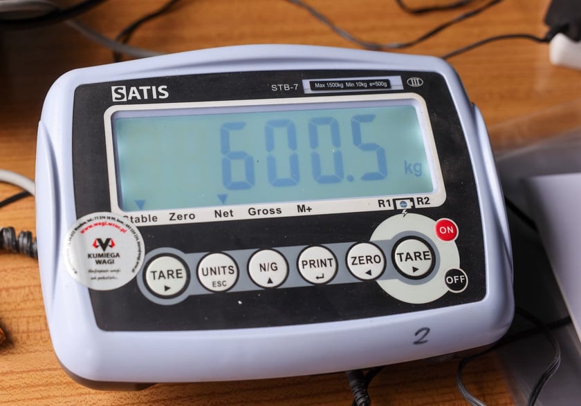 Festiwal Dyni w Ogrodzie Botanicznym 2025