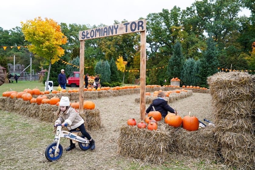 Farma Dyniowa we Wrocławiu