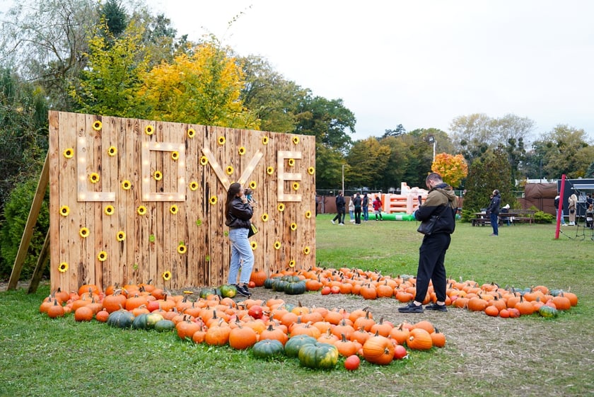 Farma Dyniowa we Wrocławiu