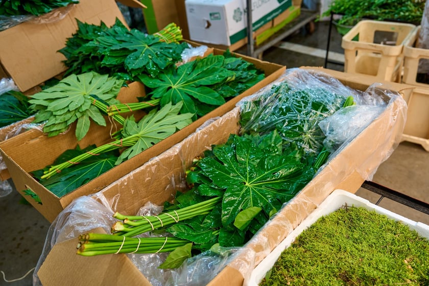 Giełda Kwiatowa we Wrocławiu - oto co na niej dostaniemy