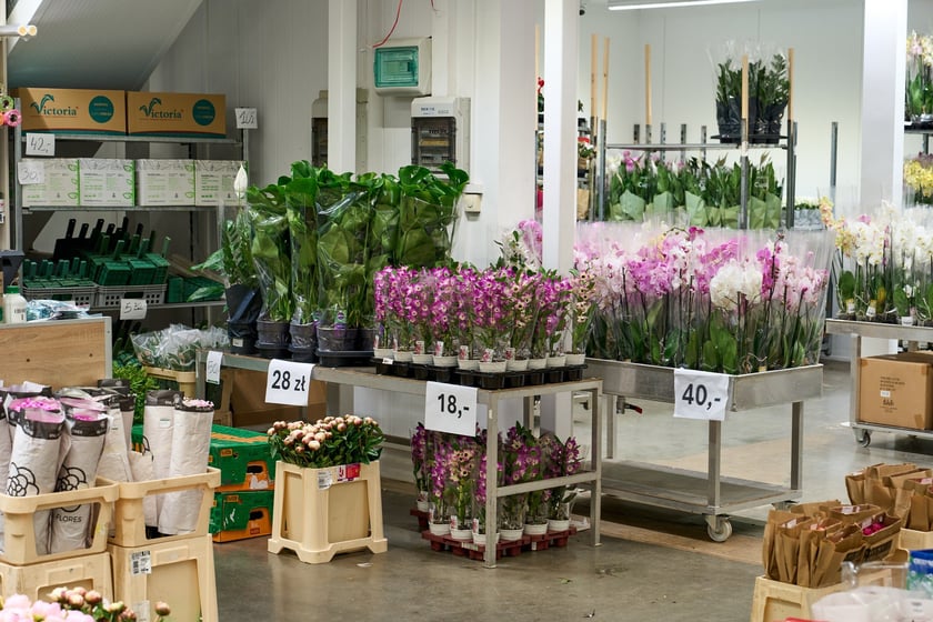 Giełda Kwiatowa we Wrocławiu - oto co na niej dostaniemy