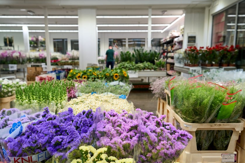 Giełda Kwiatowa we Wrocławiu - oto co na niej dostaniemy
