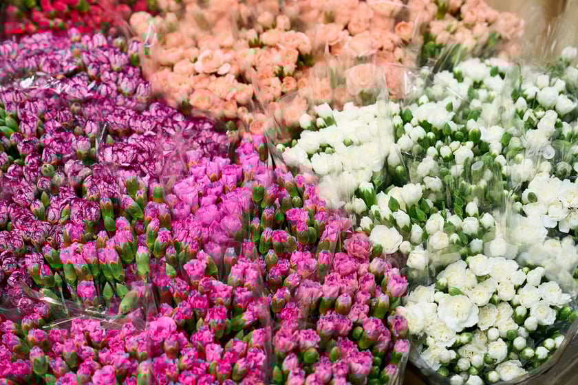 Giełda Kwiatowa we Wrocławiu - oto co na niej dostaniemy