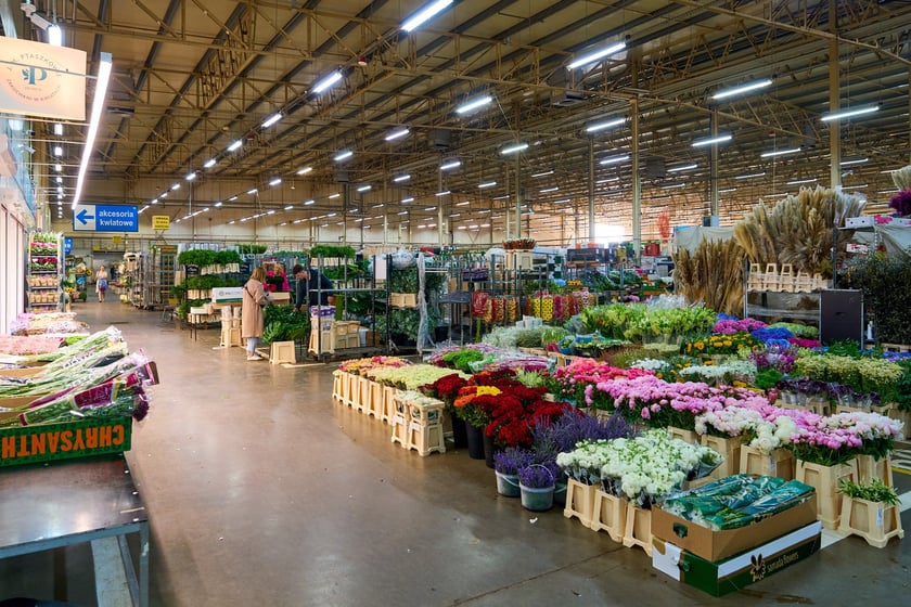 Giełda Kwiatowa we Wrocławiu - oto co na niej dostaniemy