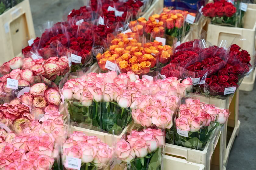 Giełda Kwiatowa we Wrocławiu - oto co na niej dostaniemy