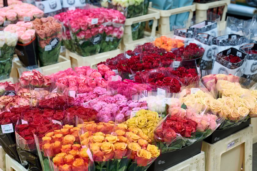 Giełda Kwiatowa we Wrocławiu - oto co na niej dostaniemy