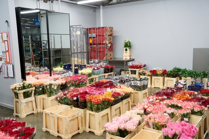 Giełda Kwiatowa we Wrocławiu - oto co na niej dostaniemy