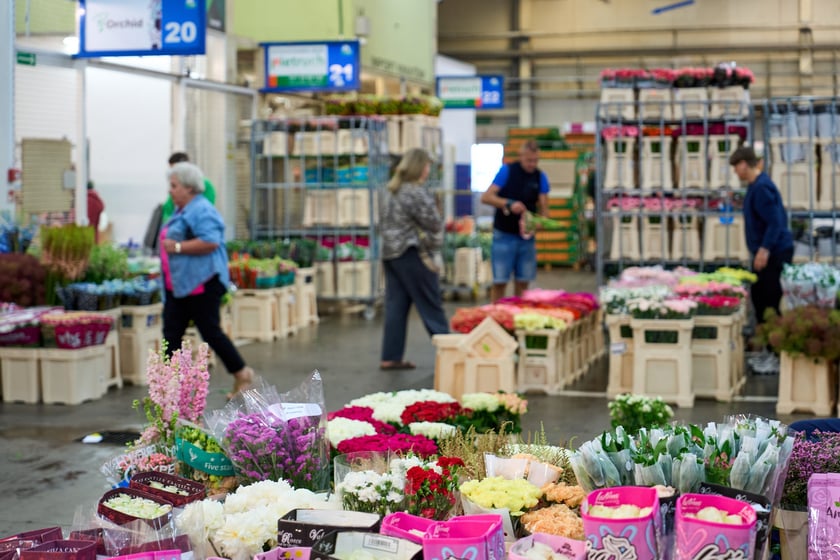 Giełda Kwiatowa we Wrocławiu - oto co na niej dostaniemy