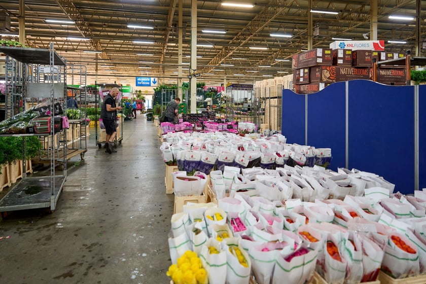 Giełda Kwiatowa we Wrocławiu - oto co na niej dostaniemy