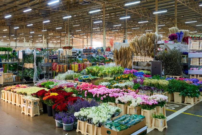 Giełda Kwiatowa we Wrocławiu - oto co na niej dostaniemy