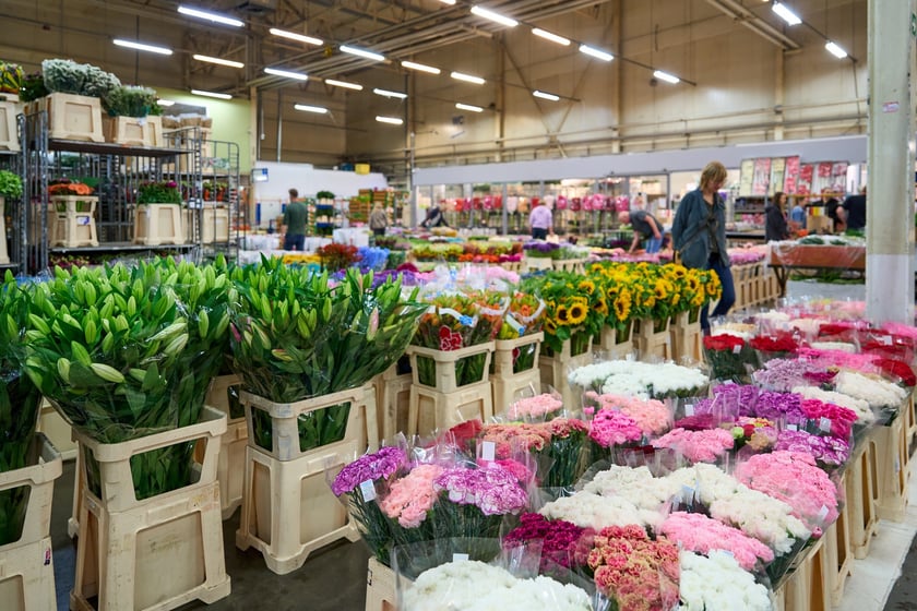 Giełda Kwiatowa we Wrocławiu - oto co na niej dostaniemy