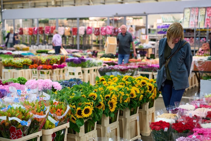 Giełda Kwiatowa we Wrocławiu - oto co na niej dostaniemy