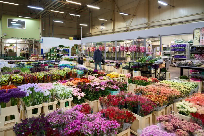 Giełda Kwiatowa we Wrocławiu - oto co na niej dostaniemy