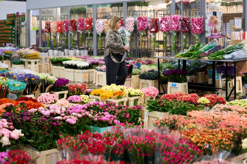 Giełda Kwiatowa we Wrocławiu - oto co na niej dostaniemy