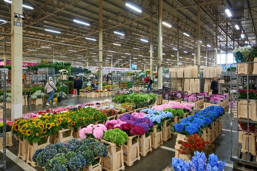 Giełda Kwiatowa we Wrocławiu - oto co na niej dostaniemy