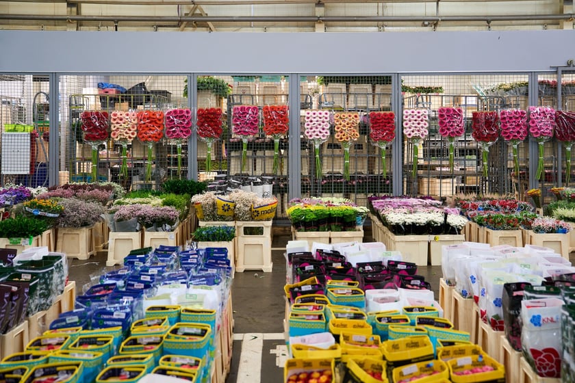 Giełda Kwiatowa we Wrocławiu - oto co na niej dostaniemy