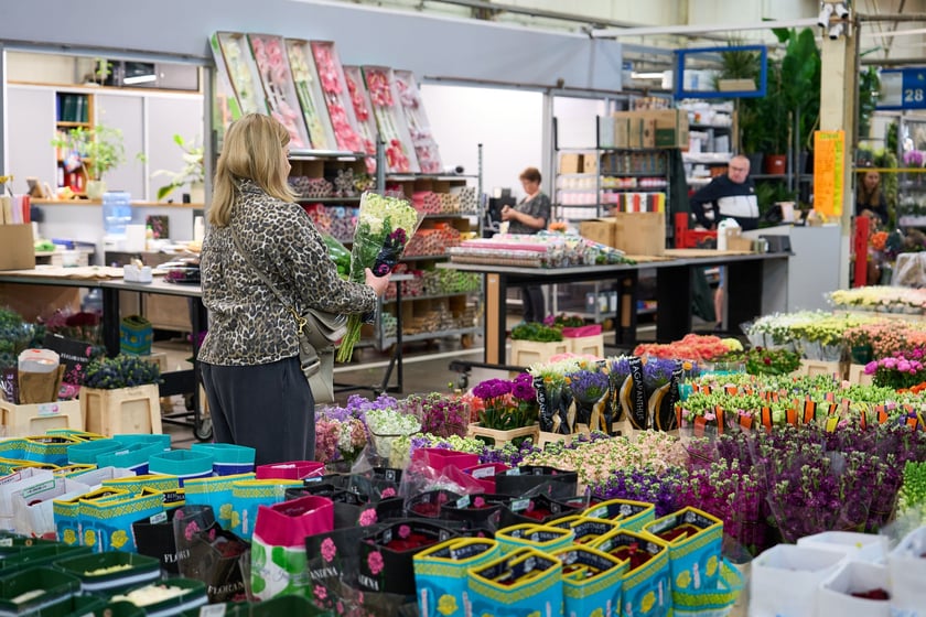Giełda Kwiatowa we Wrocławiu - oto co na niej dostaniemy