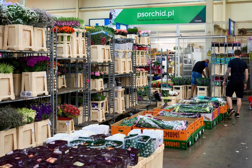 Giełda Kwiatowa we Wrocławiu - oto co na niej dostaniemy