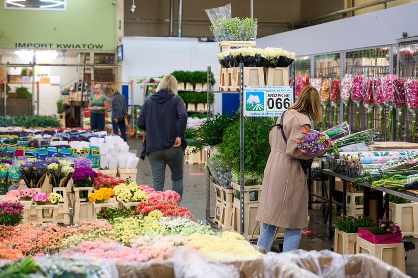 Giełda Kwiatowa we Wrocławiu - oto co na niej dostaniemy