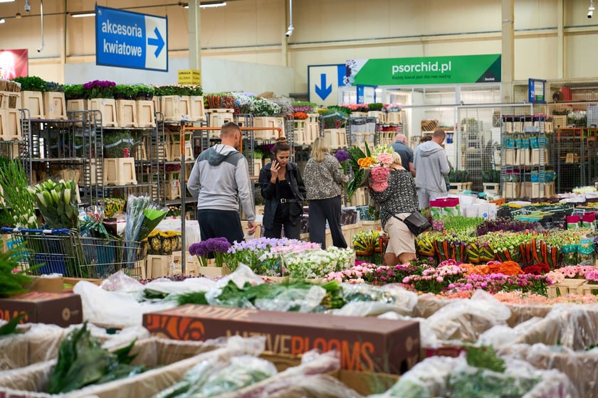 Giełda Kwiatowa we Wrocławiu - oto co na niej dostaniemy
