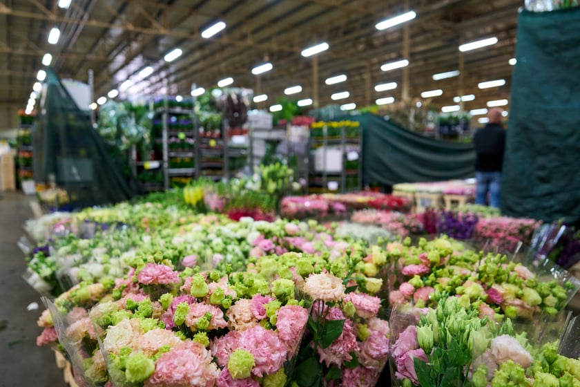 Giełda Kwiatowa we Wrocławiu - oto co na niej dostaniemy