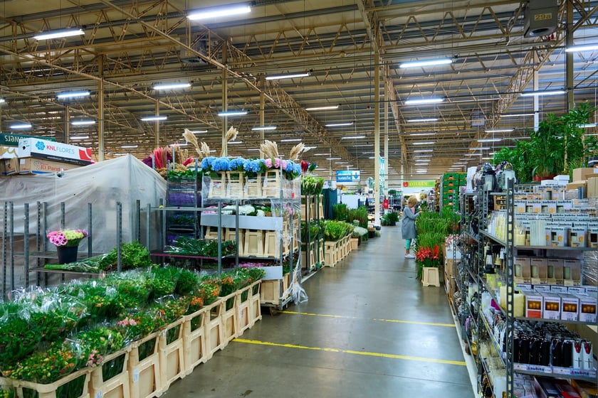 Giełda Kwiatowa we Wrocławiu - oto co na niej dostaniemy
