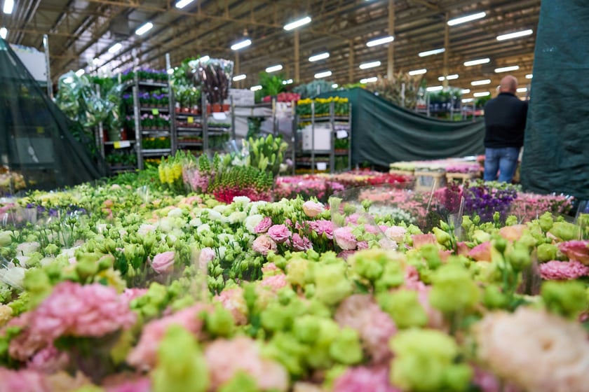 Giełda Kwiatowa we Wrocławiu - oto co na niej dostaniemy