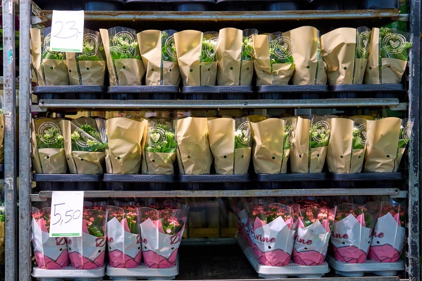 Giełda Kwiatowa we Wrocławiu - oto co na niej dostaniemy